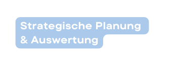 Strategische Planung Auswertung